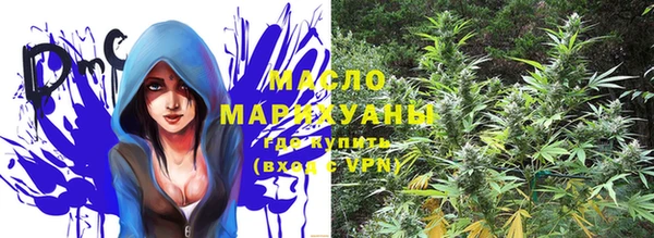 стаф Каменка