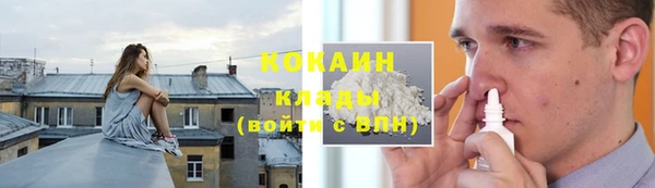 кокс Касимов
