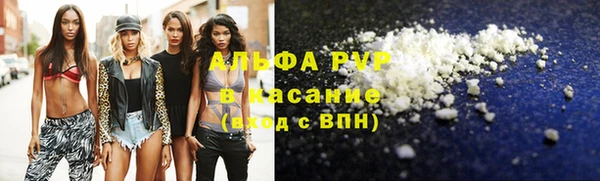 кокс Касимов