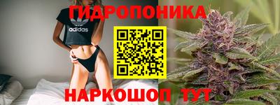 твердый Будённовск