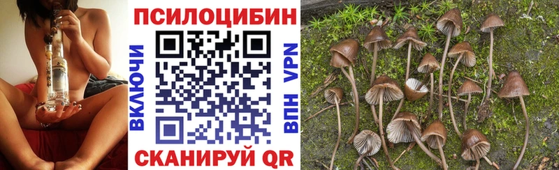 Псилоцибиновые грибы Magic Shrooms  где можно купить наркотик  Красноармейск 