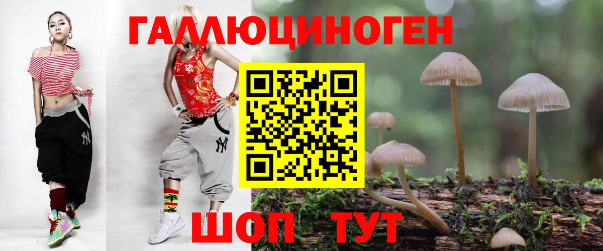 Красноармейск  цена   Вход с VPN  Галлюциногенные грибы Psilocybine cubensis 